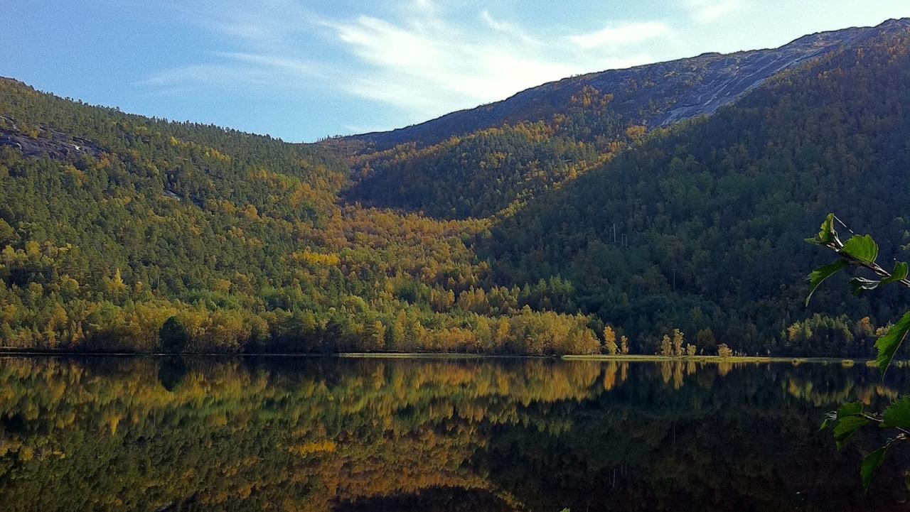 Отель Tommerneset Camping Innhavet Экстерьер фото