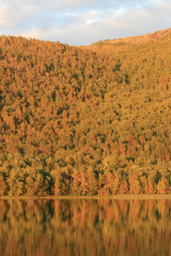 Отель Tommerneset Camping Innhavet Экстерьер фото